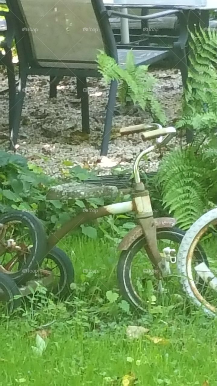 child's old tricycle