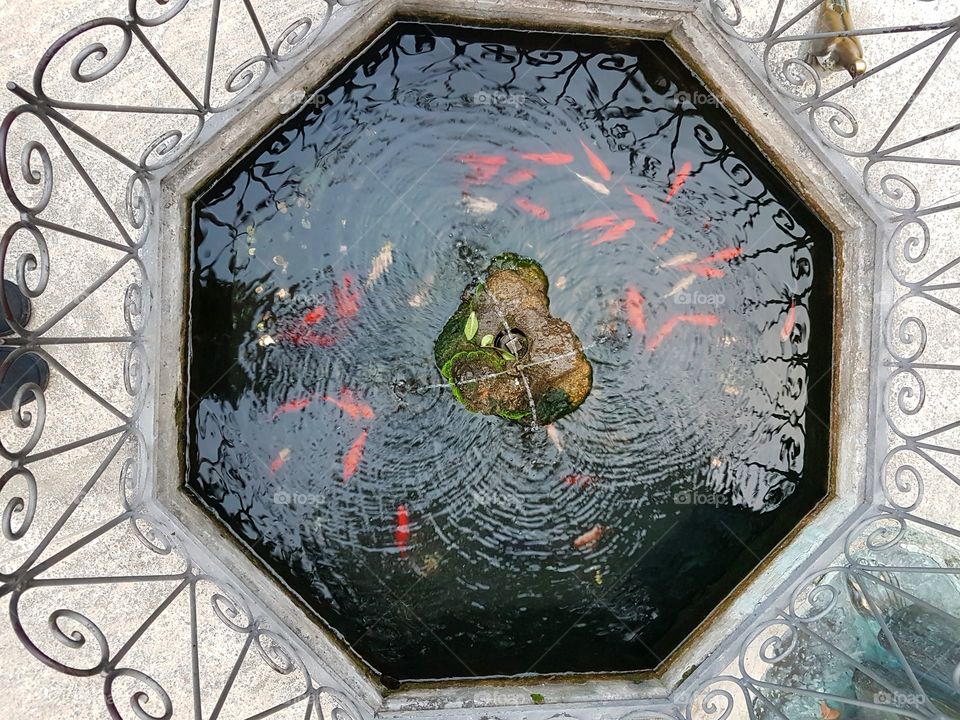 Stone fountain with swimming red fishes