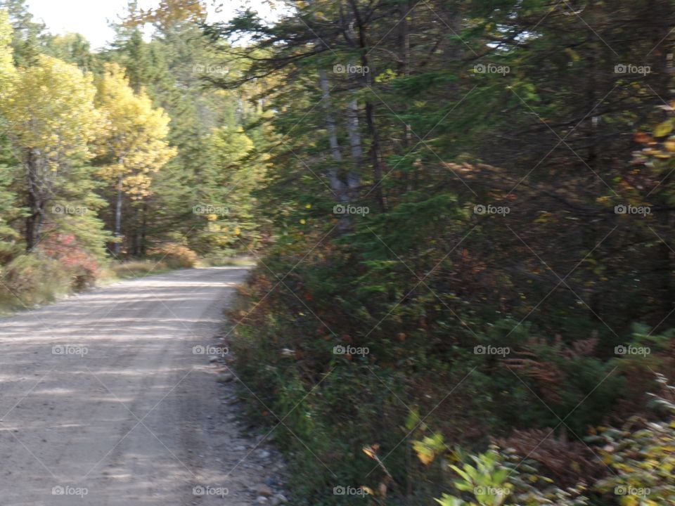 Drummond Island, Michigan 