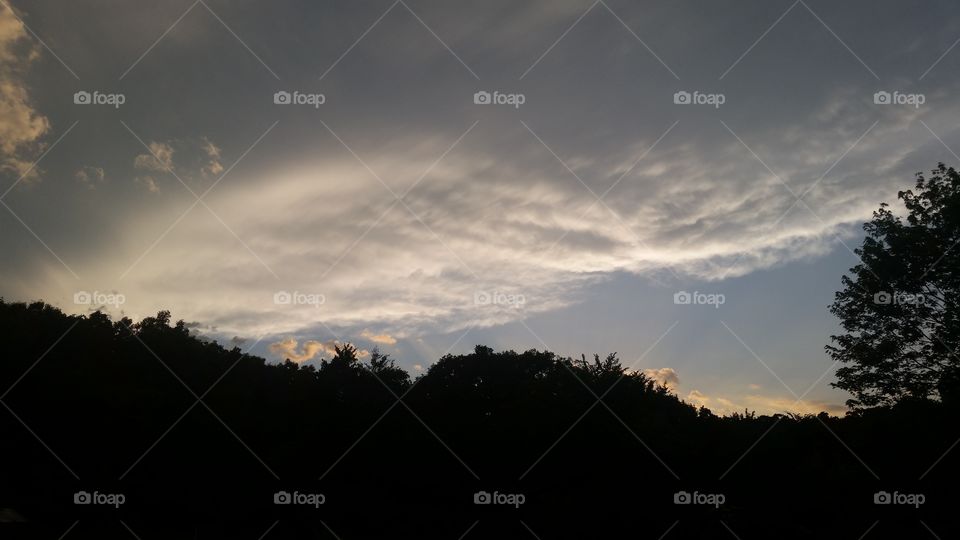 Sunset, No Person, Sky, Dawn, Tree