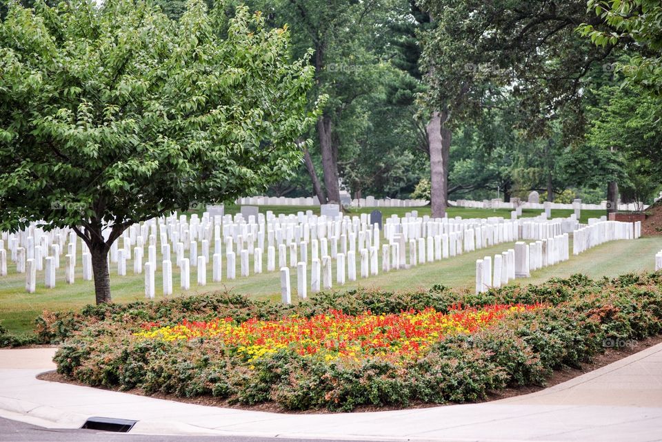 Flowers and Graves