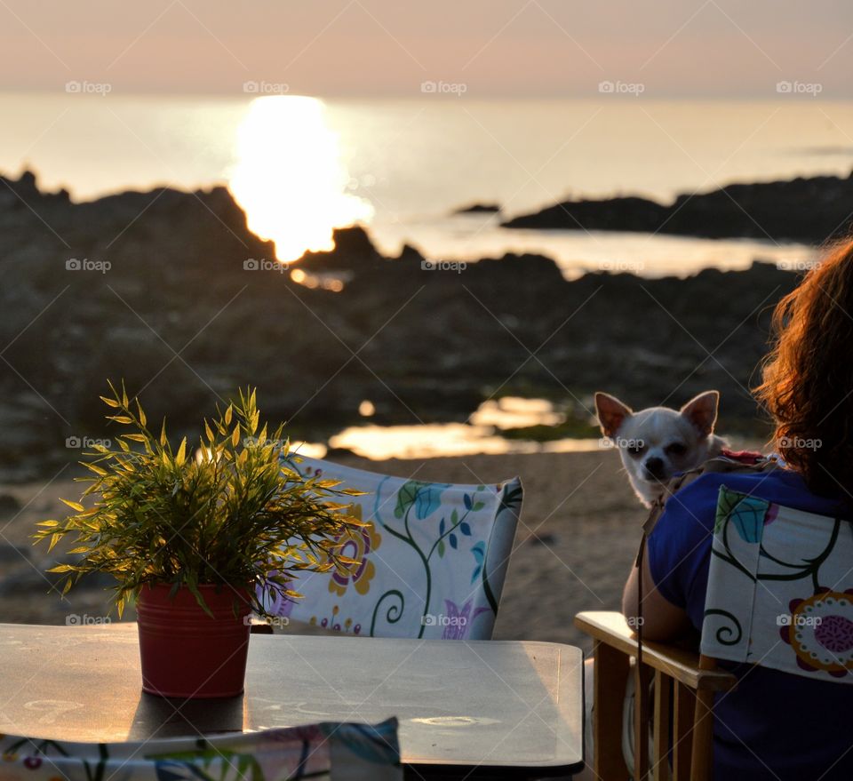 Romantic sunset with a sweet little dog looking at you