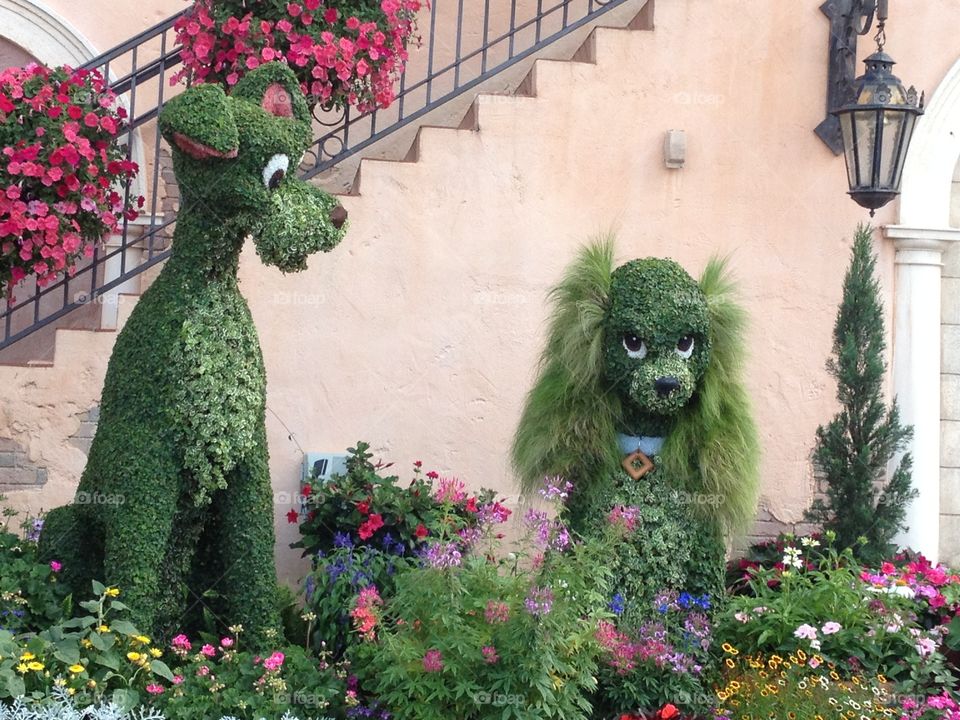 Lady and the Tramp flowers at Walt Disney World 