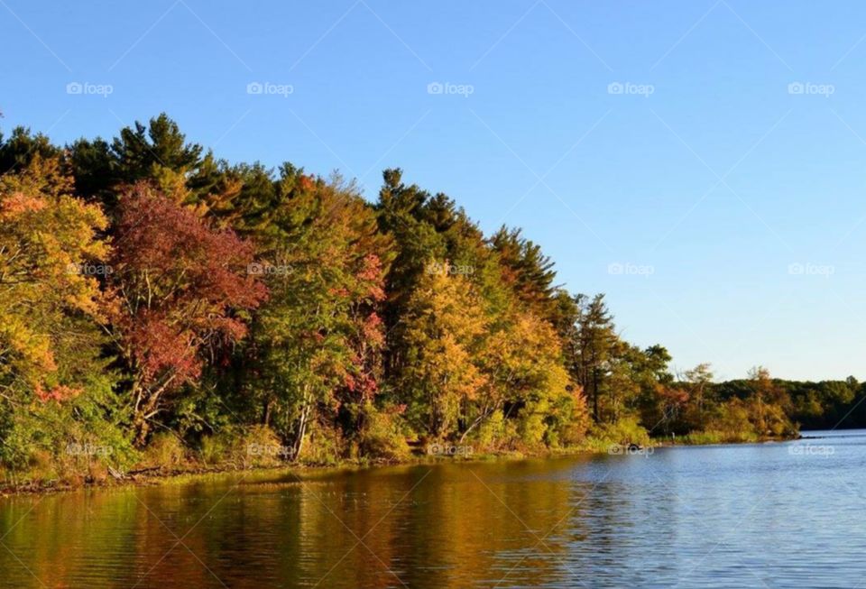 New England Autumn 