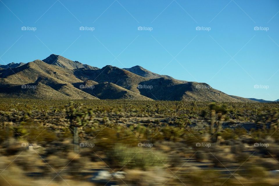 Desert landscape