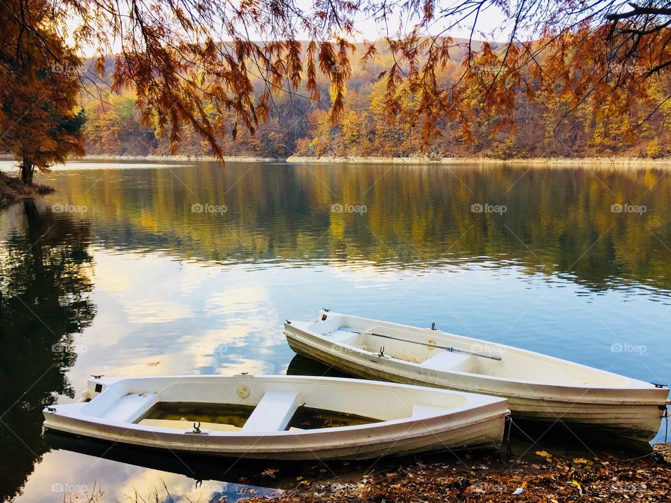 Two wooden white boats on the lake surrounded by forest of trees with yellow leaves