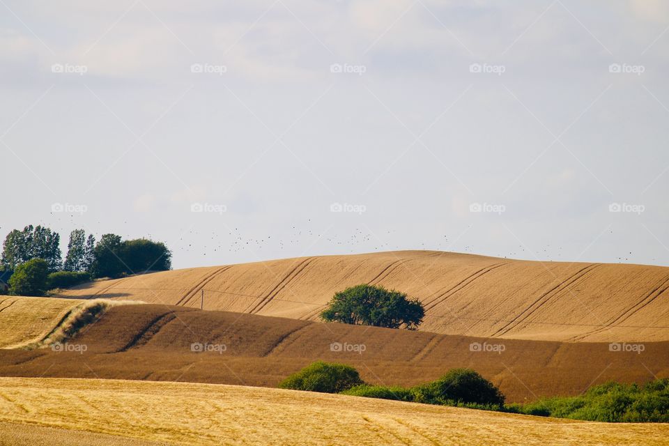 Beautiful landscape 