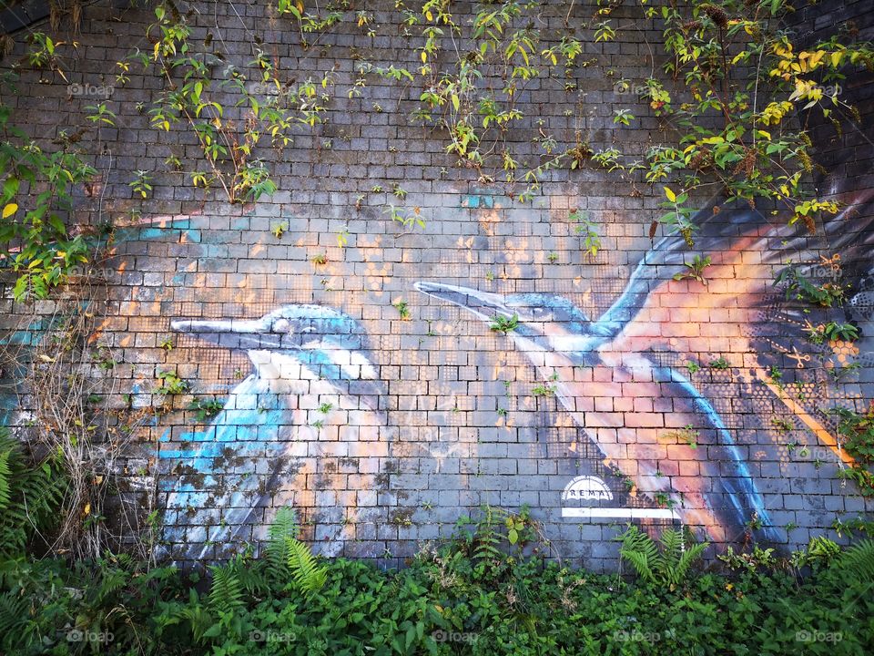 Kingfisher Wall Art