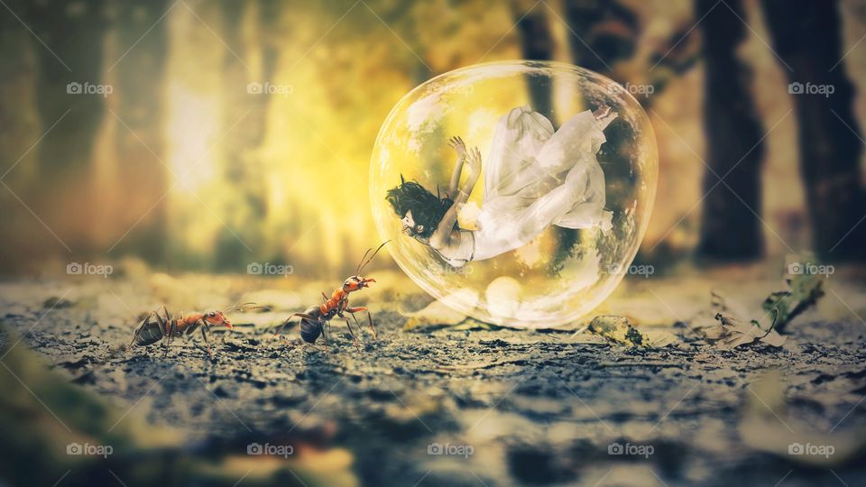 bubble-ant-dream