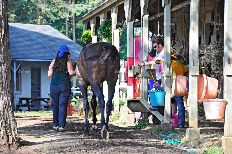 Horse Haven. Opening day at the Schwartz barn on the backstretch of Horse Haven. Stable hands prepare for a great season.
zazzle.com