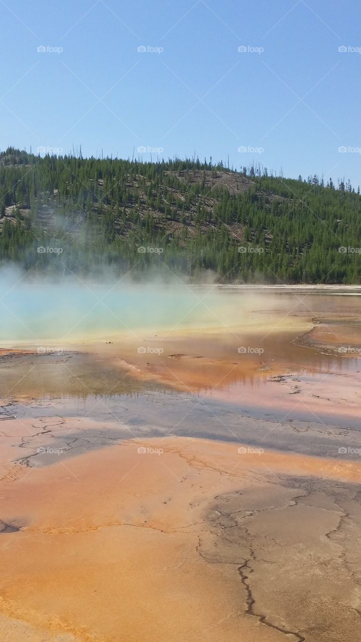 grand prismatic spring 