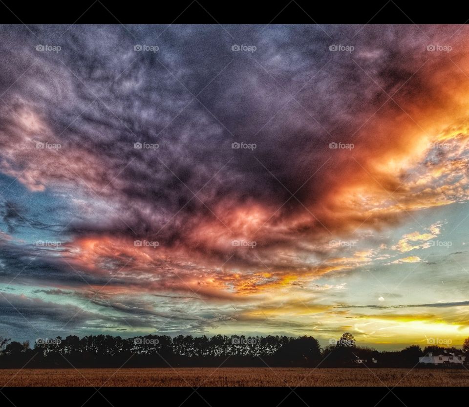 An evening sky that threatens rain, yet the only outcome is a storm of beauty.