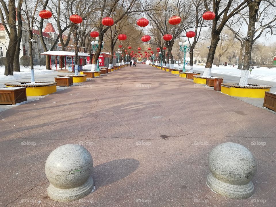 Harbin. China