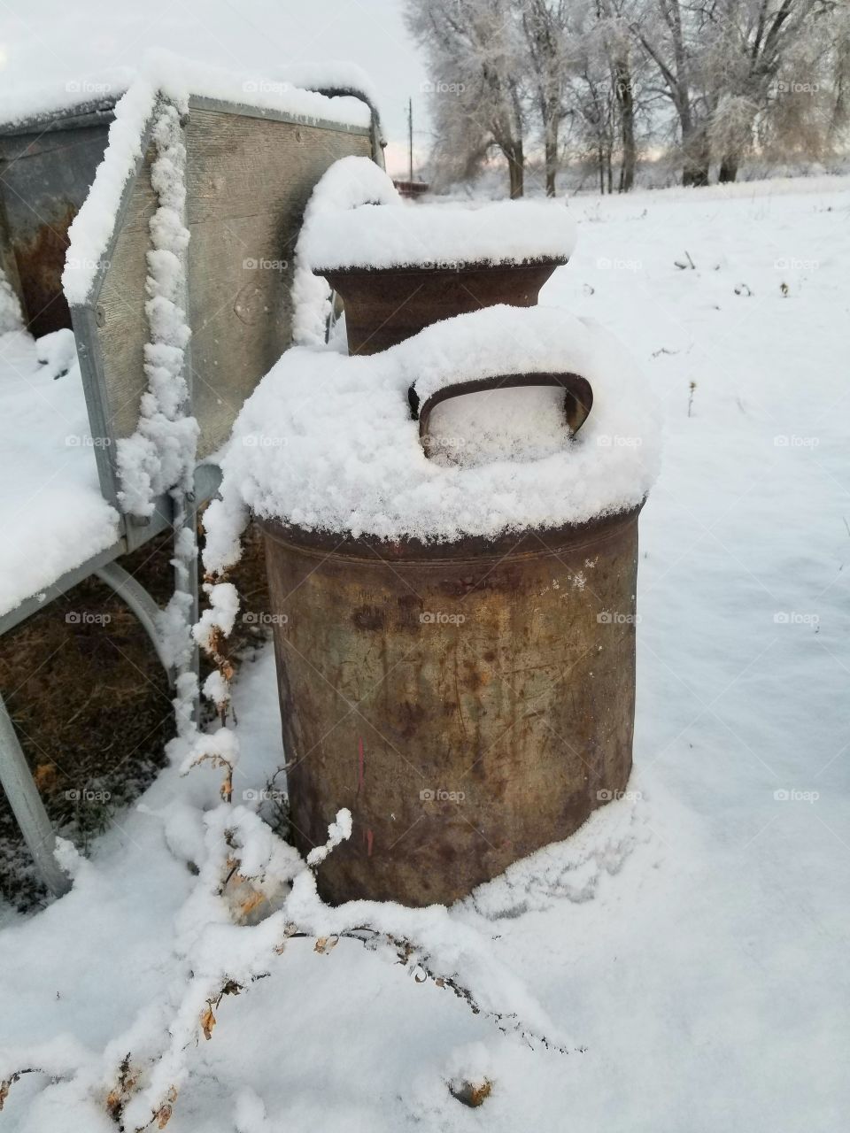 Milk Can in the Snow
