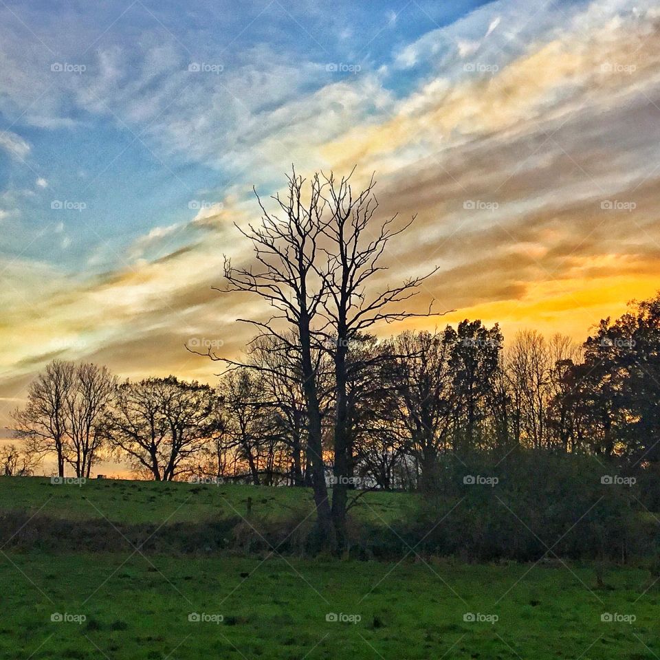 Plenty of interactive cornerstones that creates magic...