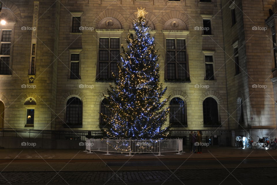 Christmas tree City Hall Rotterdam
