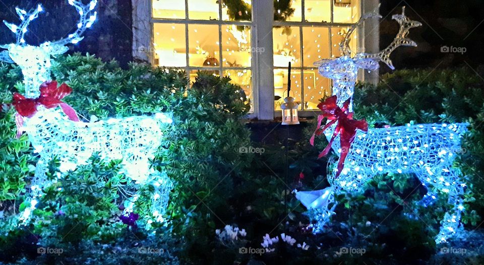 festive window twinkling with fairy lights with lit up reindeer display outside