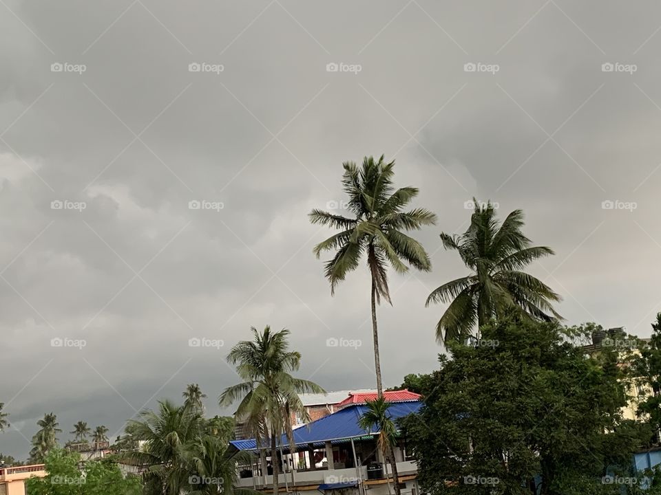 Just before the rain