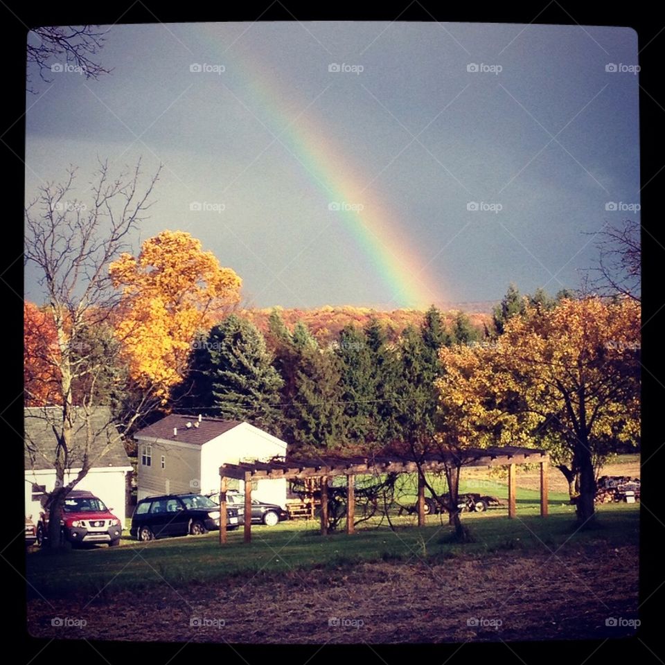 Farm rainbow