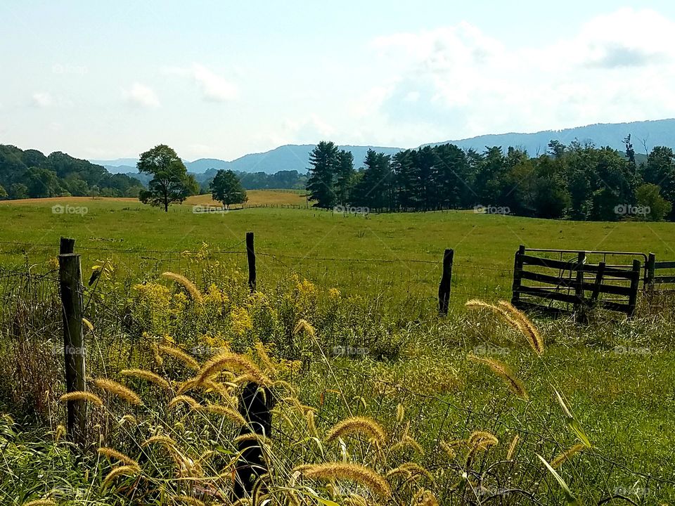 Panoramic view across a field