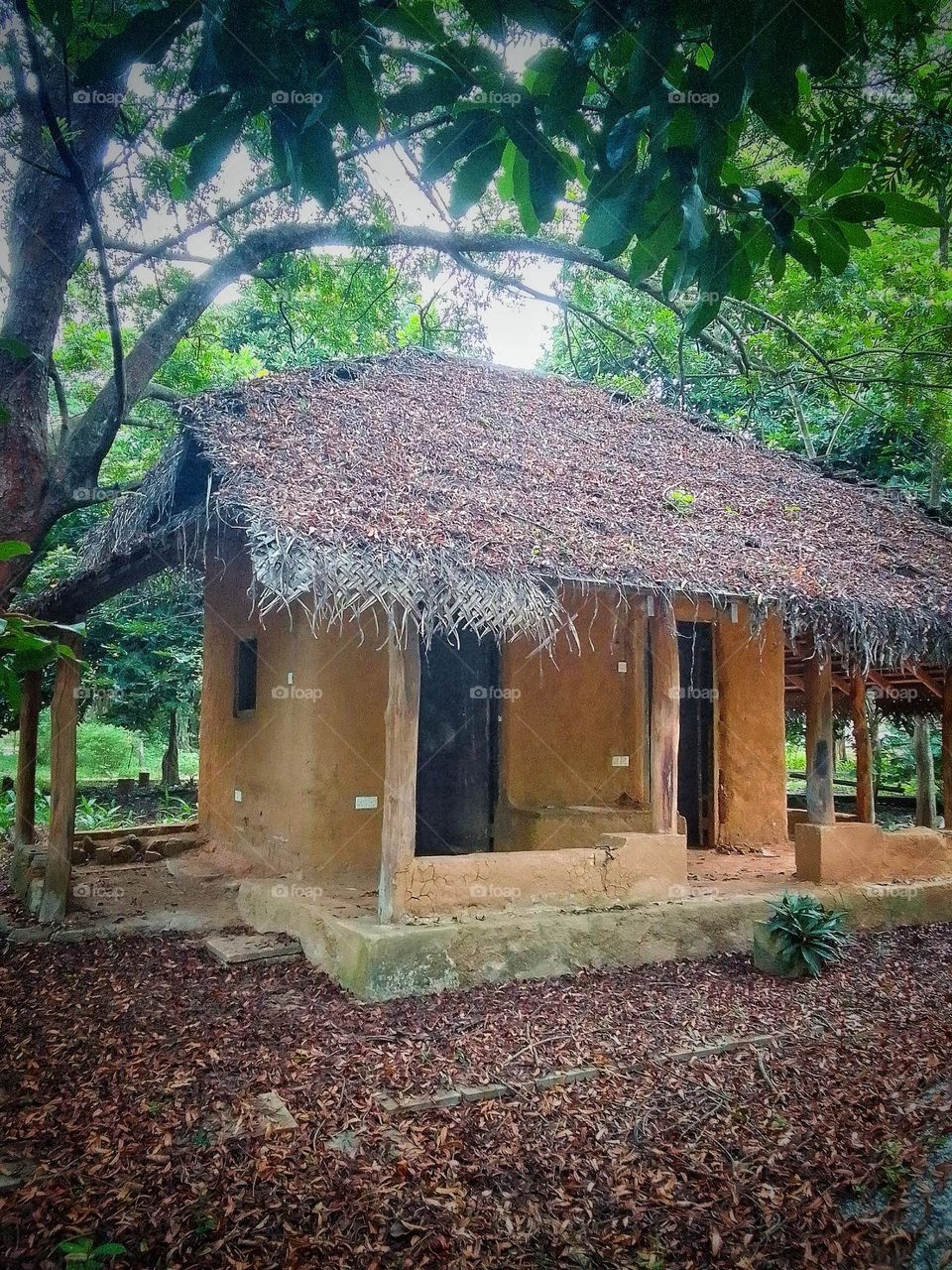 Natural house and village