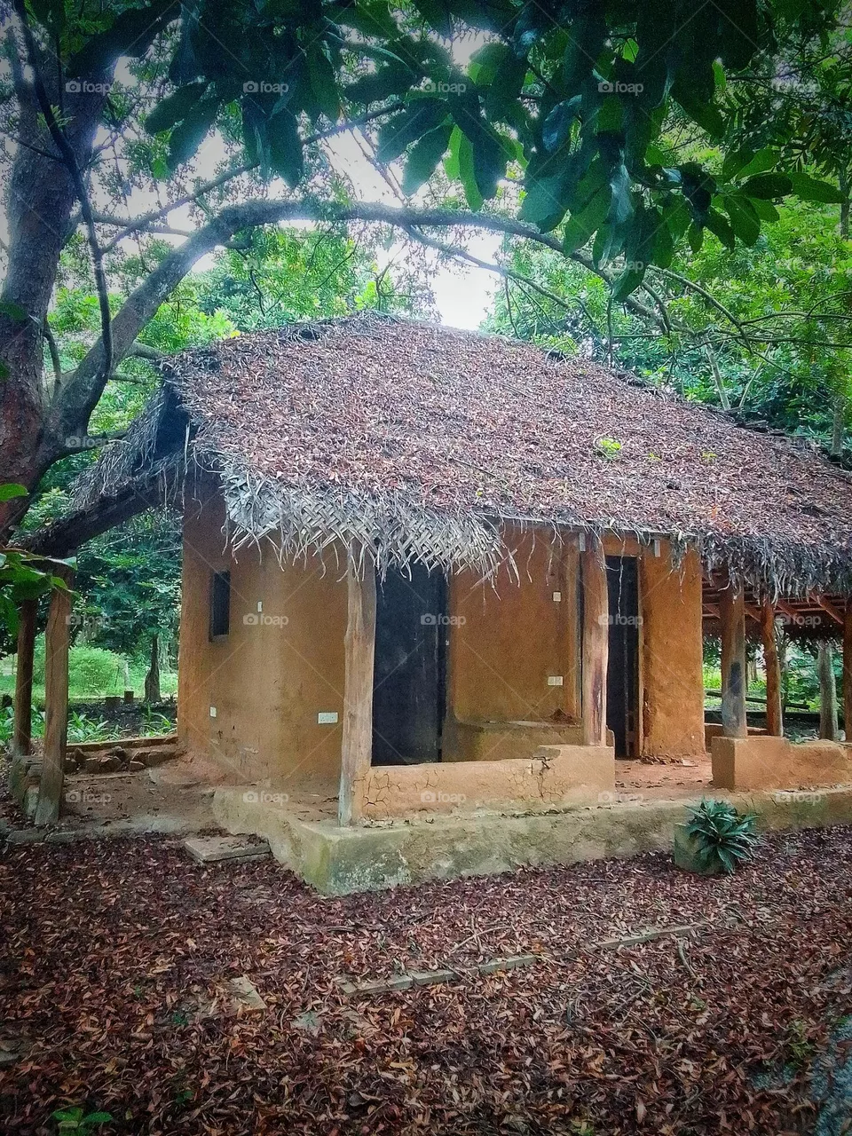 Natural house and village