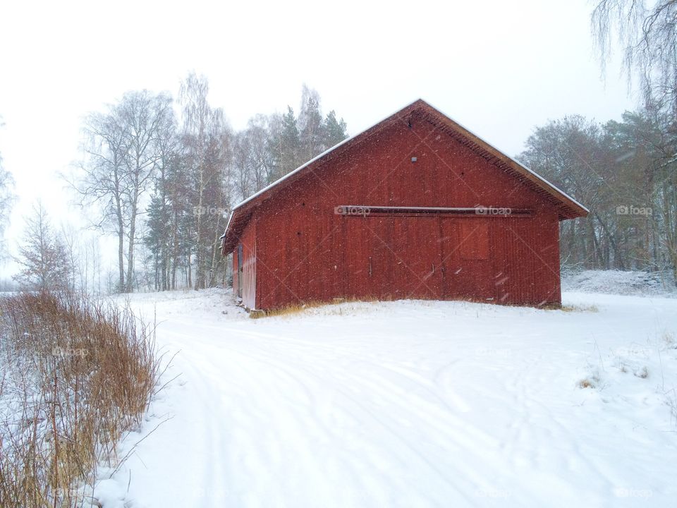 Winter landscape