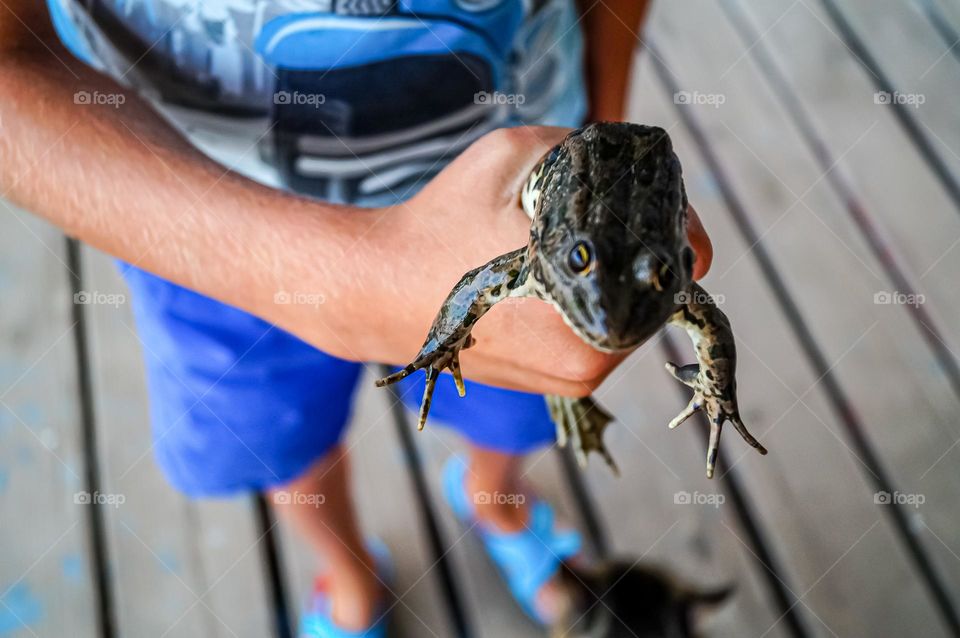 Boy playing with frog