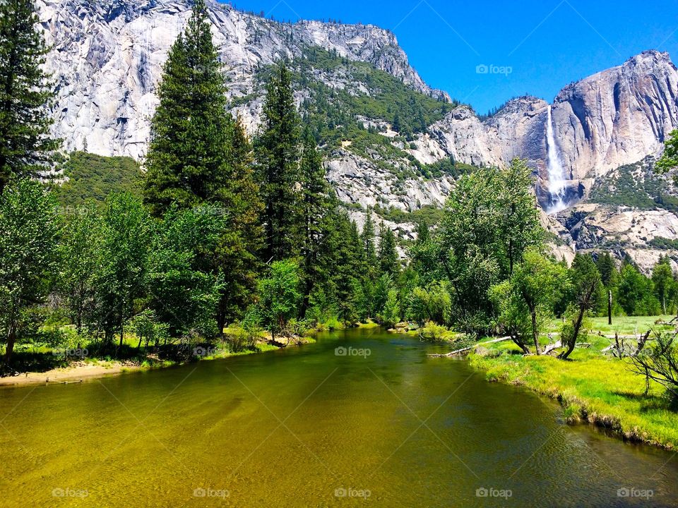 Scenic view of nature