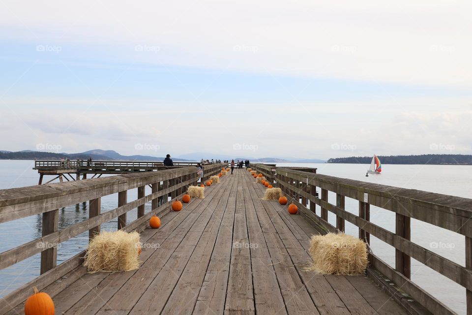 Haystacks and pumpkins on the dock 