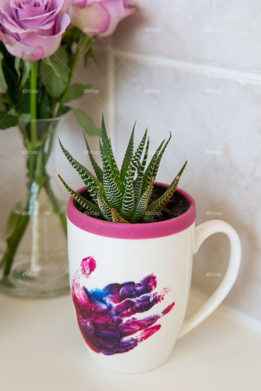 Small green succulent growing in pink pot inside coffee mug with hand print