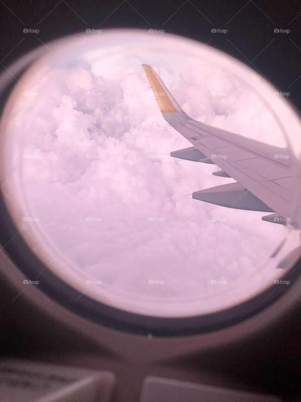 Flying up the clouds