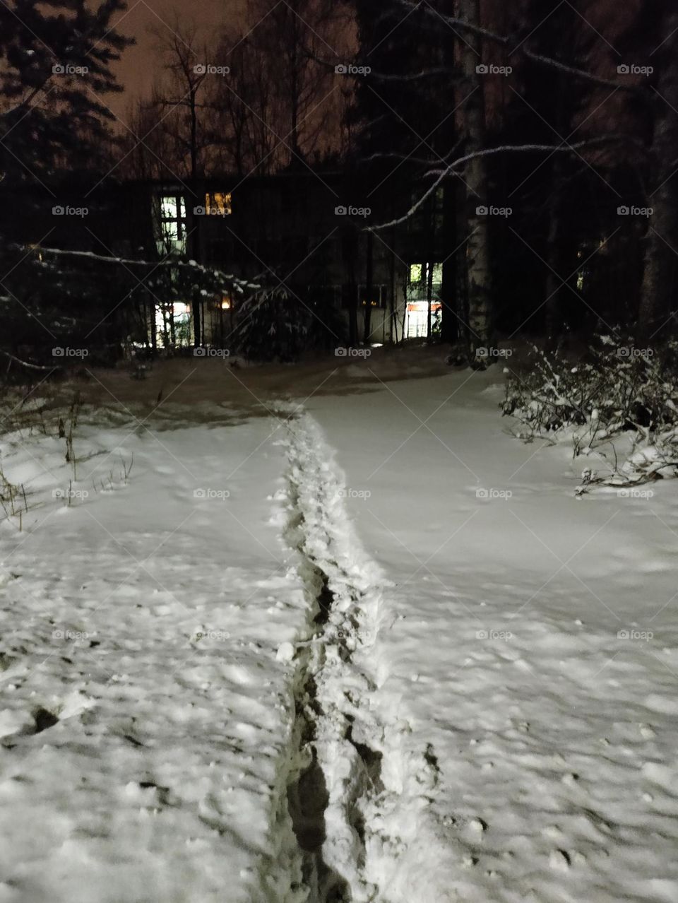 house behind snow