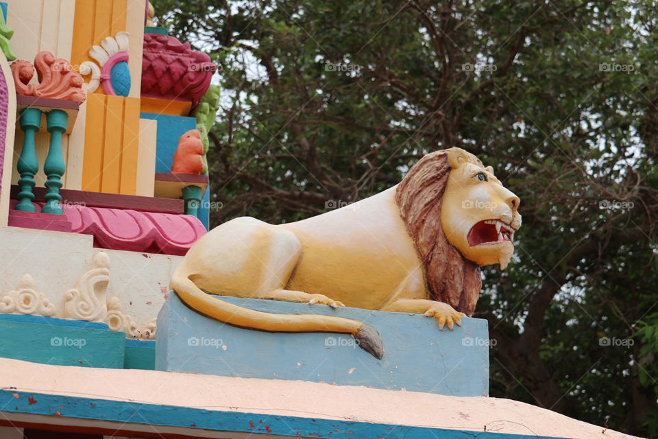 No Person, Outdoors, Wood, Summer, Girl