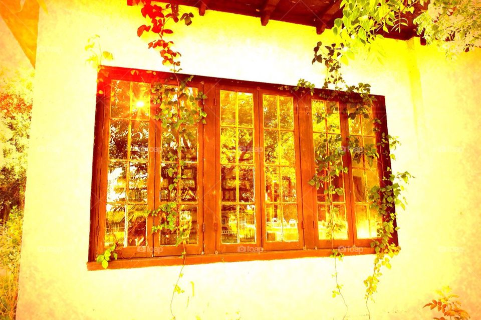 Reflections in windows