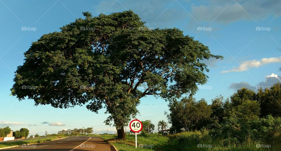 Empty road passing through rural scene