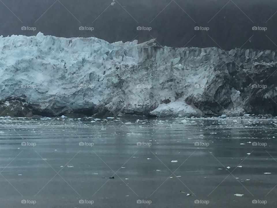 Glacier Bay