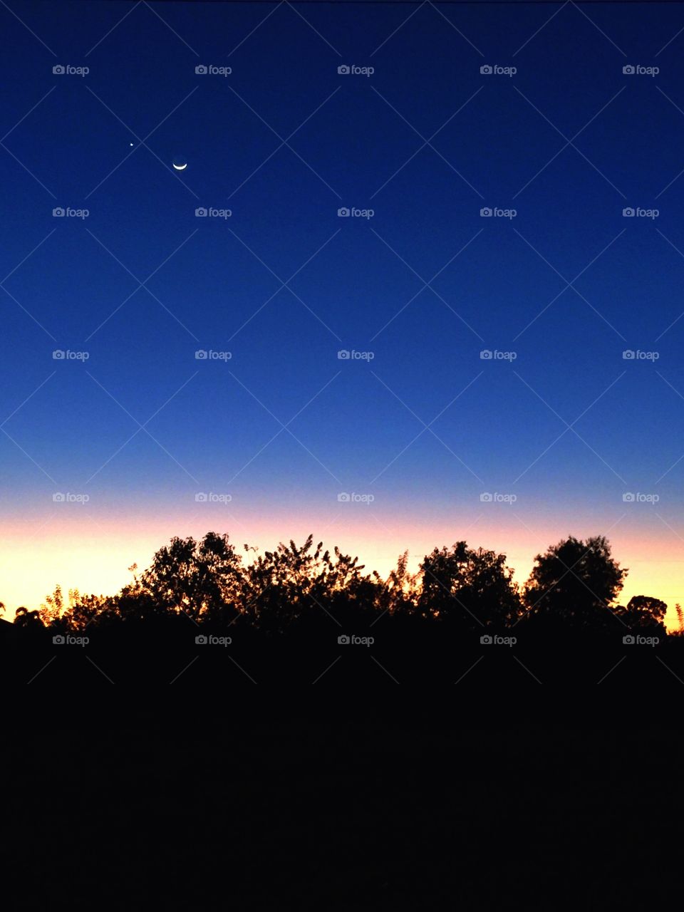 Sunrise Hawaii. The sunrise over Honokaa Hawaii 