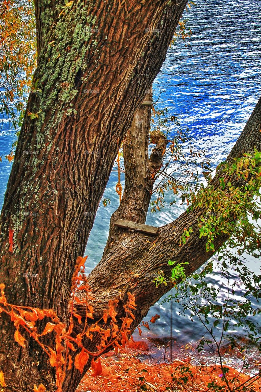 Swinging in the fall