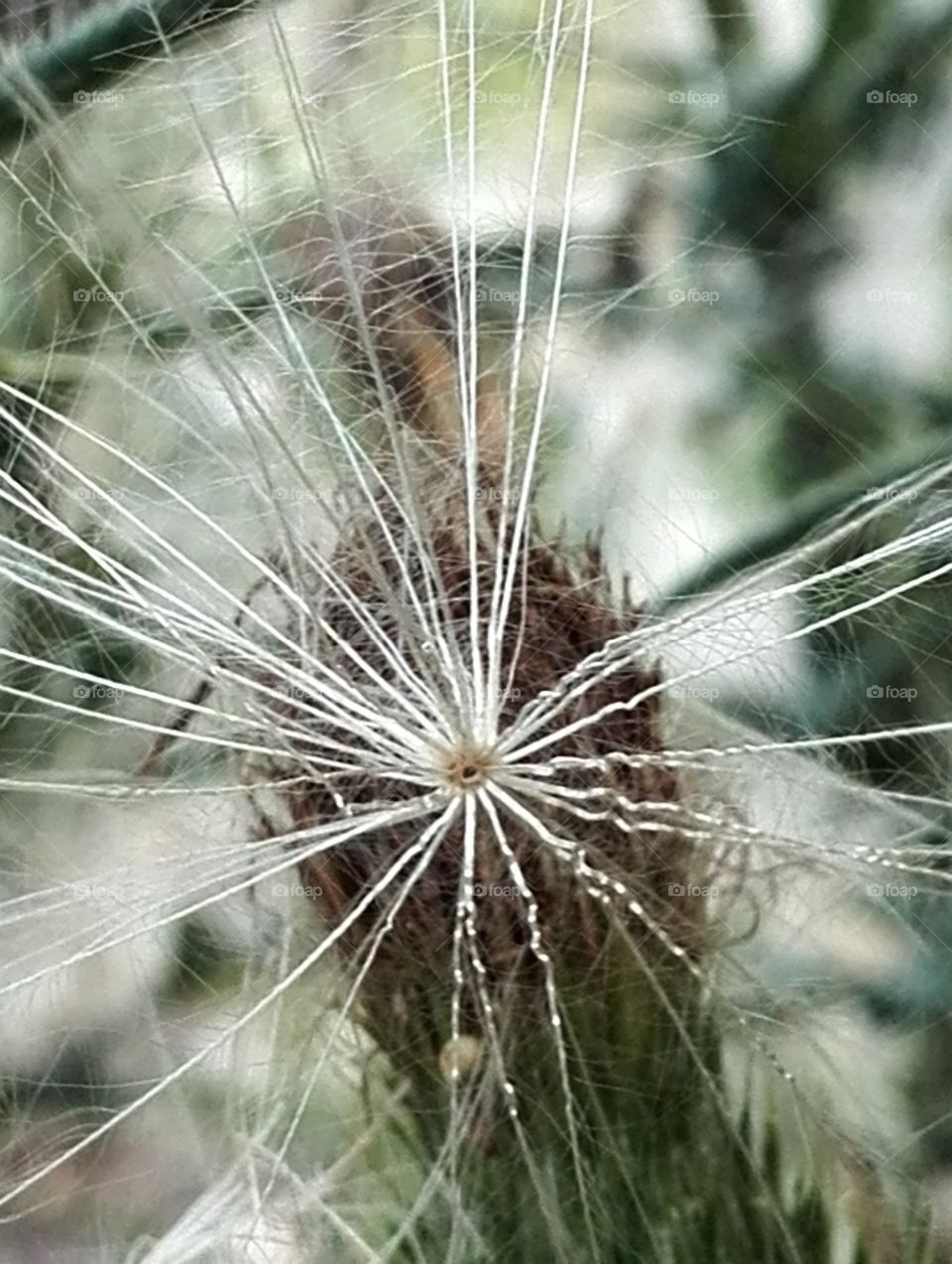 Extraterrestrial -- No