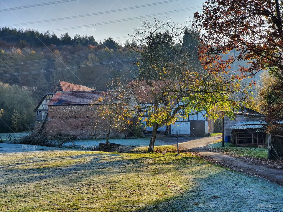 Old german farm in the morning sun