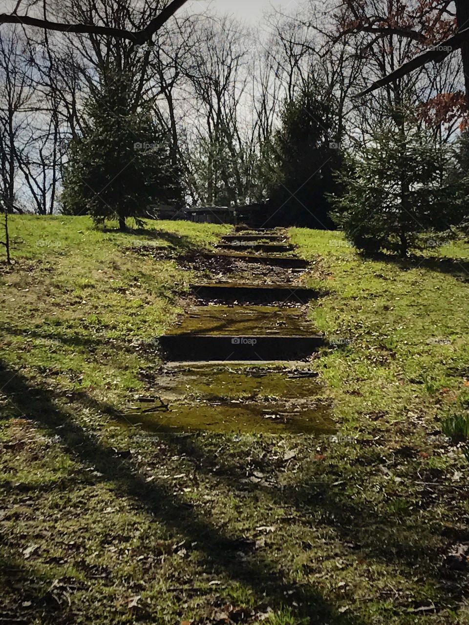 Nature path steps 