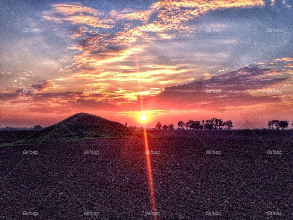 Sunset over the field 