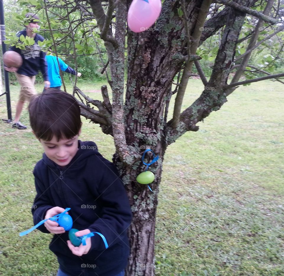 Young boy hanging Easter eggs on grandmas tree in the yard. 