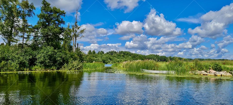 Boat in the reeds on the lake on a sunny day