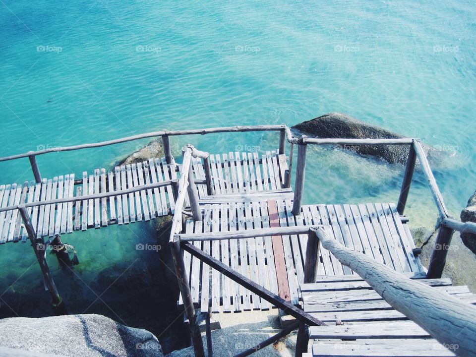 wood tree sunny water by jonasdeponas