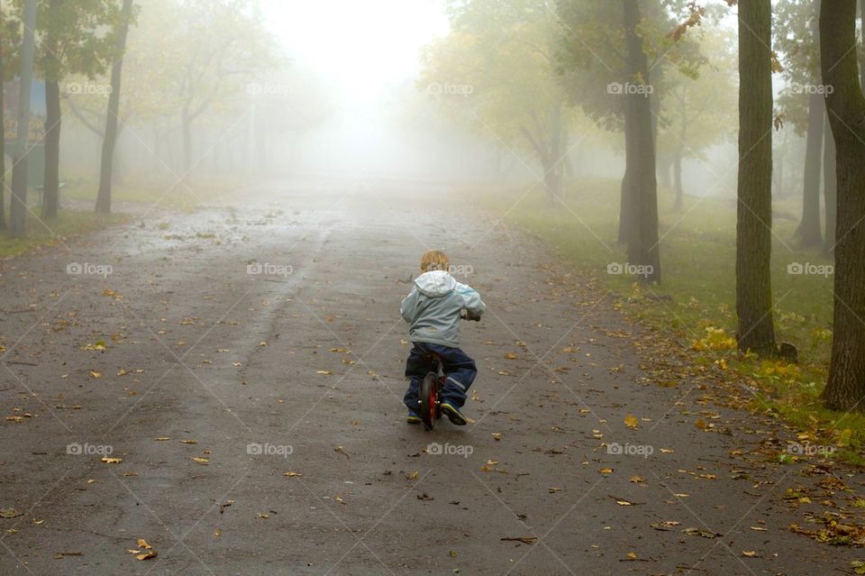 fog in autumn morning