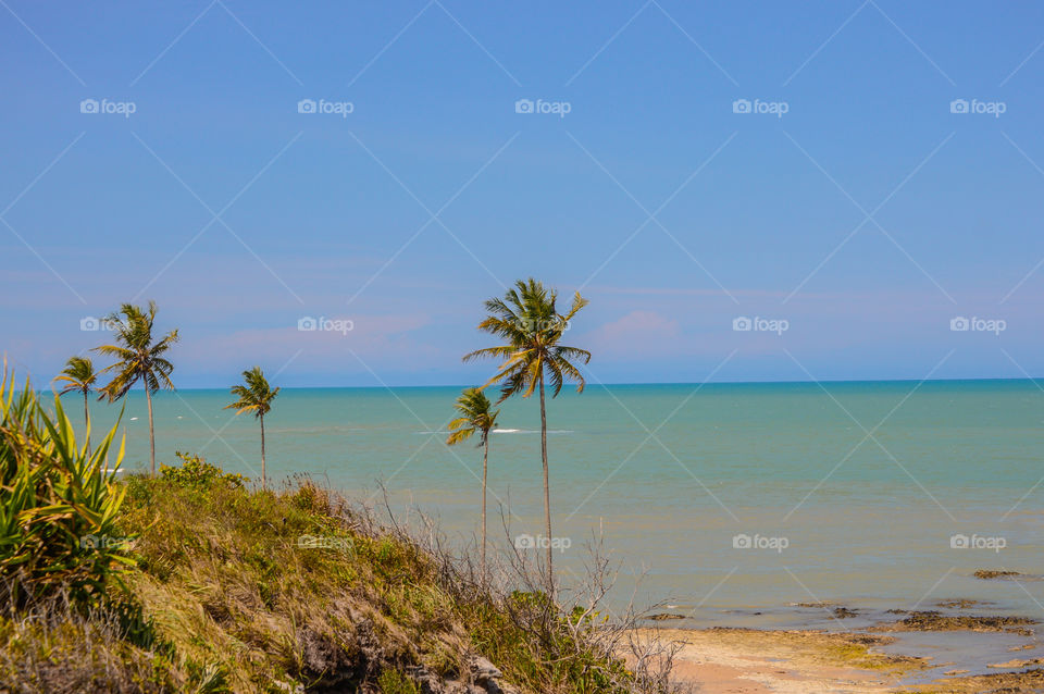 Cumuruxatiba Bahia Brasil 🇧🇷