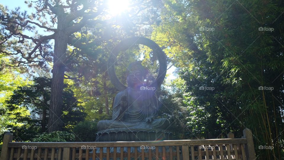 Buddha statue soaking up the sunlight