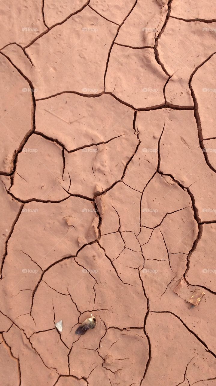 mudcrack...red dhaulpur sandstone